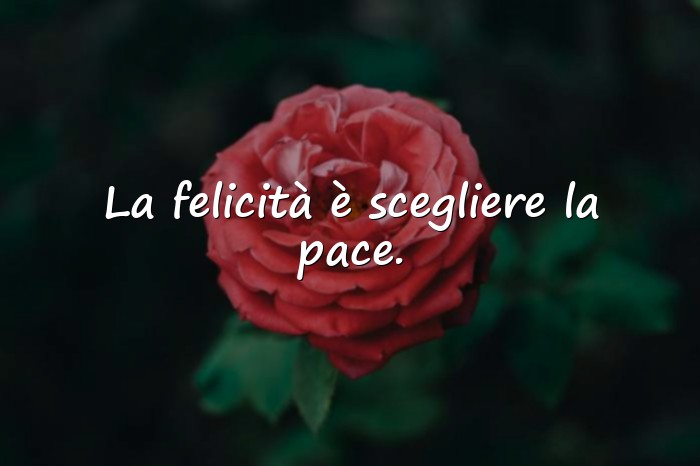 Immagini con frasi sulla felicità - 8