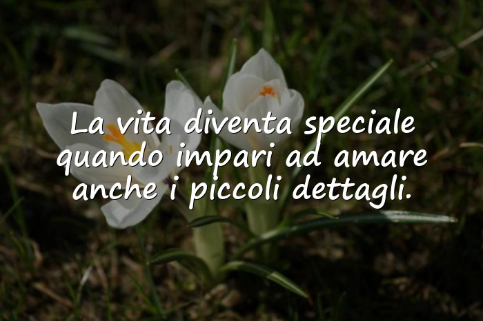 Immagini con Frasi Sulla Vita - 1