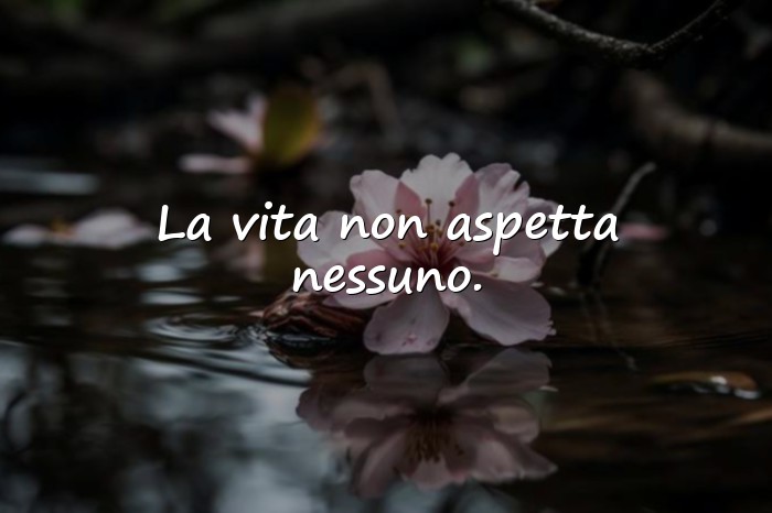 Immagini con Frasi vita e riflessioni - 24