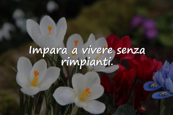 Immagini con Frasi vita e riflessioni - 20