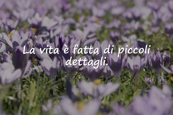 Immagini con Frasi vita e riflessioni - 16