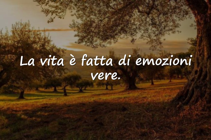 Immagini con Frasi vita e riflessioni - 12