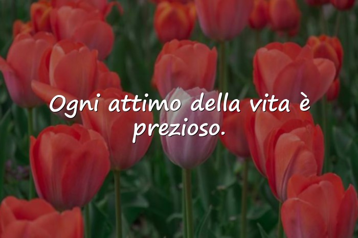 Immagini con Frasi vita e riflessioni - 10