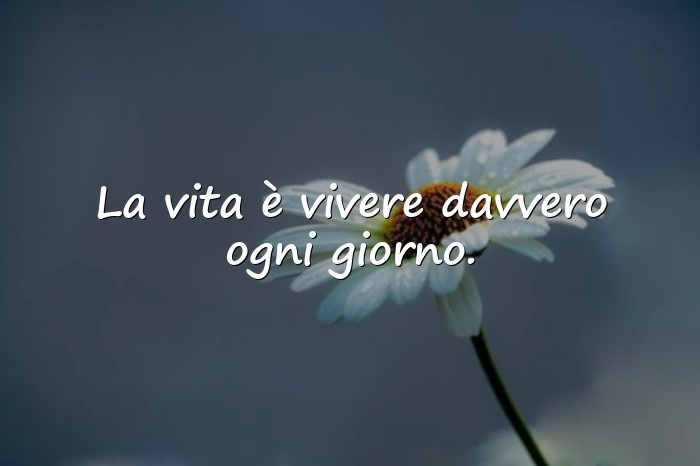 Immagini con Frasi vita e riflessioni - 1