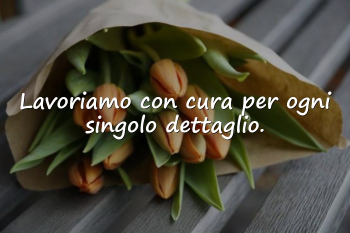Immagini con Su di Noi - 16