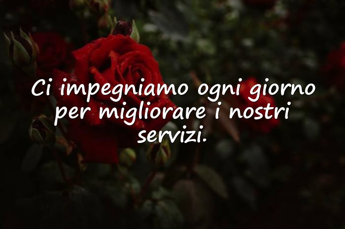 Immagini con Su di Noi - 11