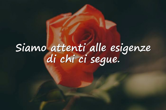 Immagini con Su di Noi - 6